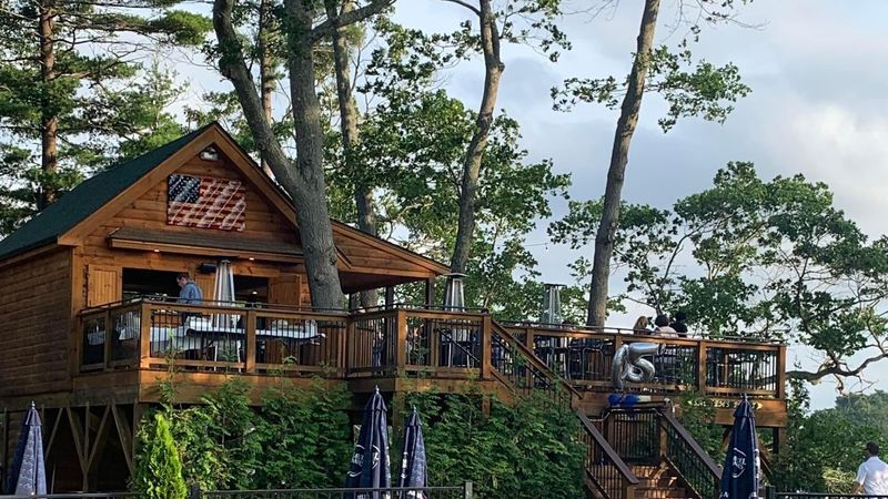 The treehouse is the star attraction The treehouse is the star attraction