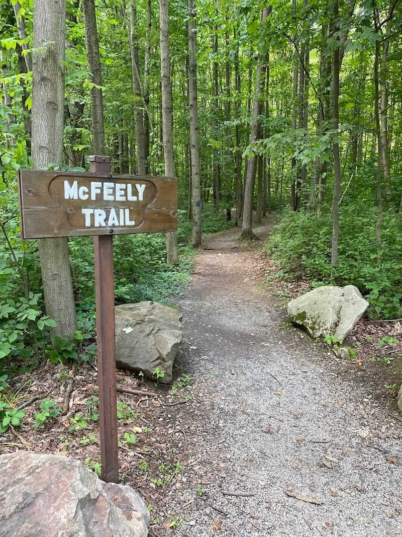 There Is More Than One Trail To Explore