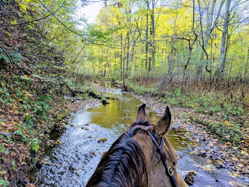 There Is Room To Fish, Paddle, Ride, And Wander