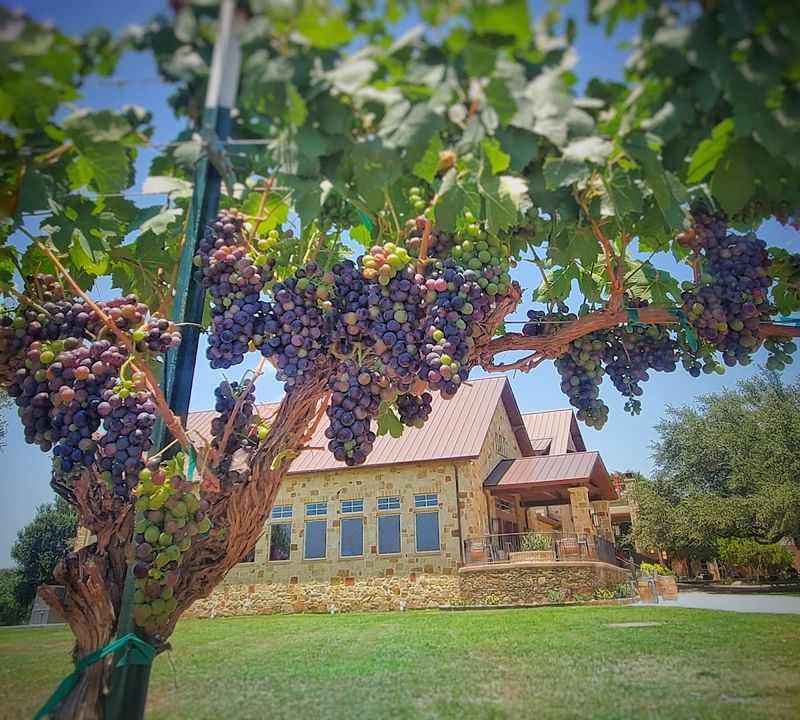 These 8 Texas State Park Restaurants Feel Like Hidden Escapes Locals Don't Want Crowded These 8 Texas State Park Restaurants Feel Like Hidden Escapes Locals Don't Want Crowded