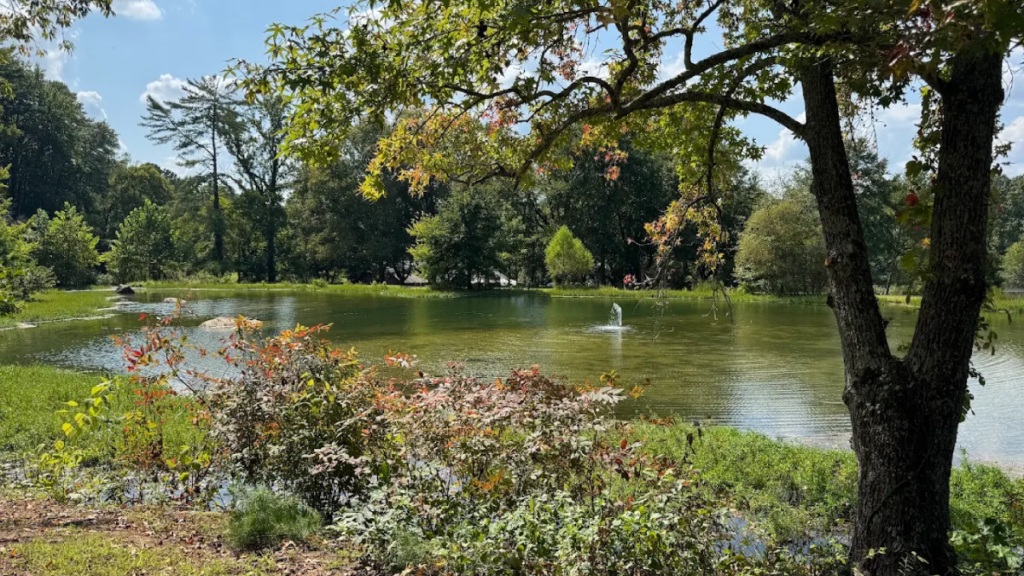 This 300-Acre Tennessee Escape Has Trails, Wildlife, and Everything You Need to Reconnect With Nature