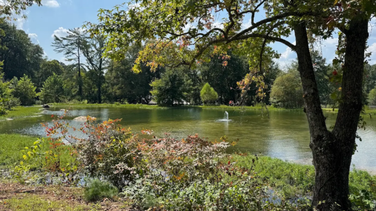 This 300-Acre Tennessee Escape Has Trails, Wildlife, and Everything You Need to Reconnect With Nature