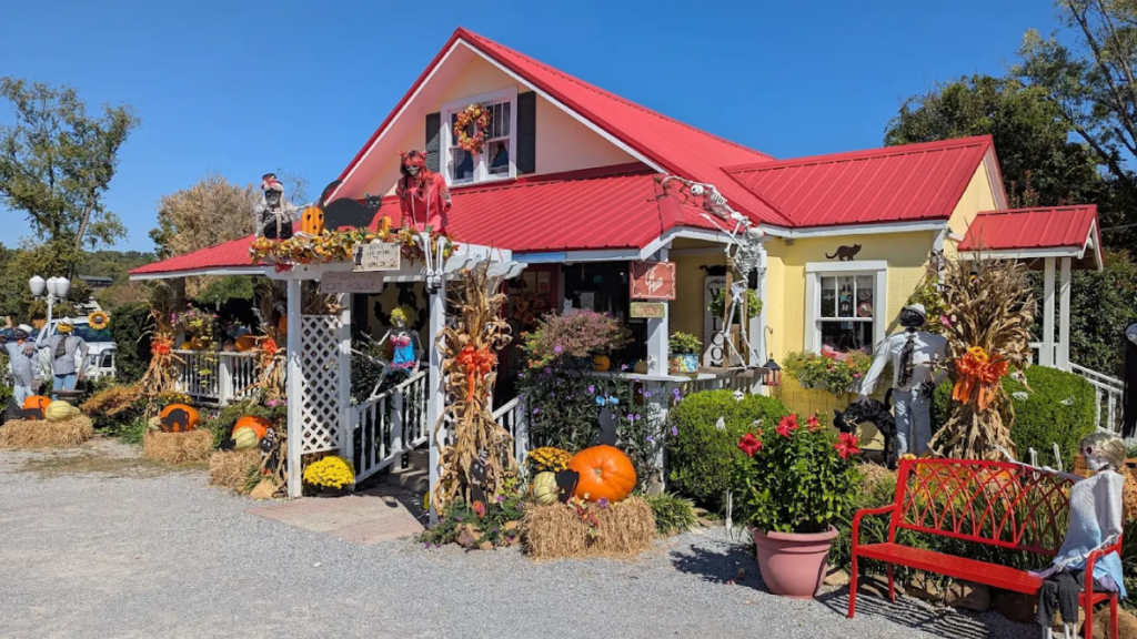 This Cozy Tennessee Stop Is Basically Heaven for Cat People