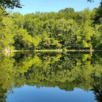 This Crystal-Clear Lake Hidden Inside a Tennessee State Park Looks Almost Unreal