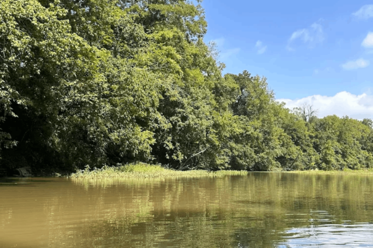 This Dreamy Tennessee River Is Made for an All-Day Float