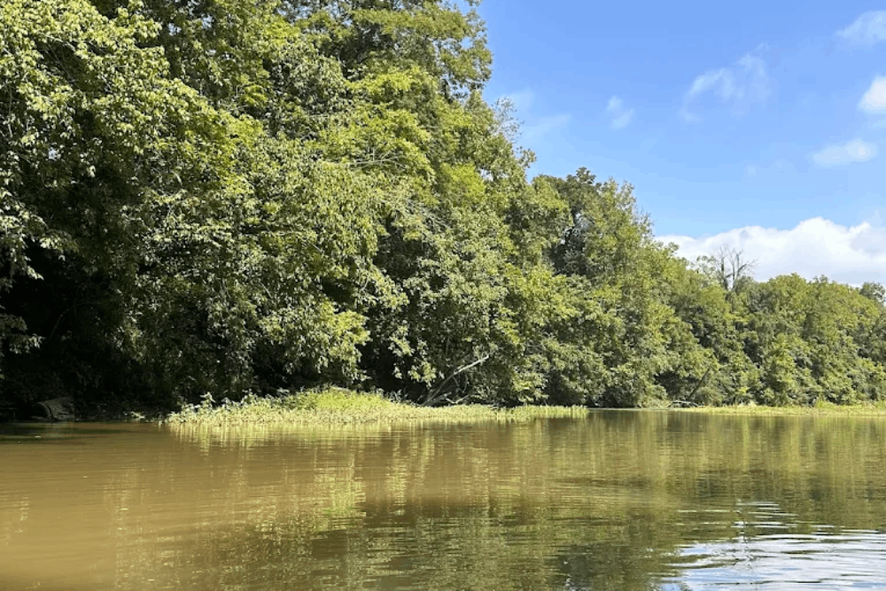 This Dreamy Tennessee River Is Made for an All-Day Float