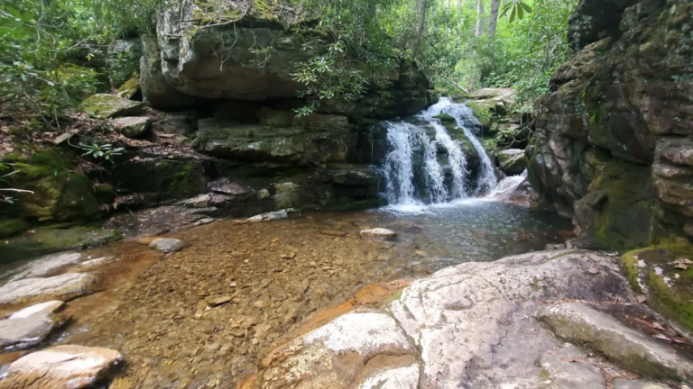 This Dreamy Tennessee Swimming Hole Is Worth Planning A 2026 Trip Around