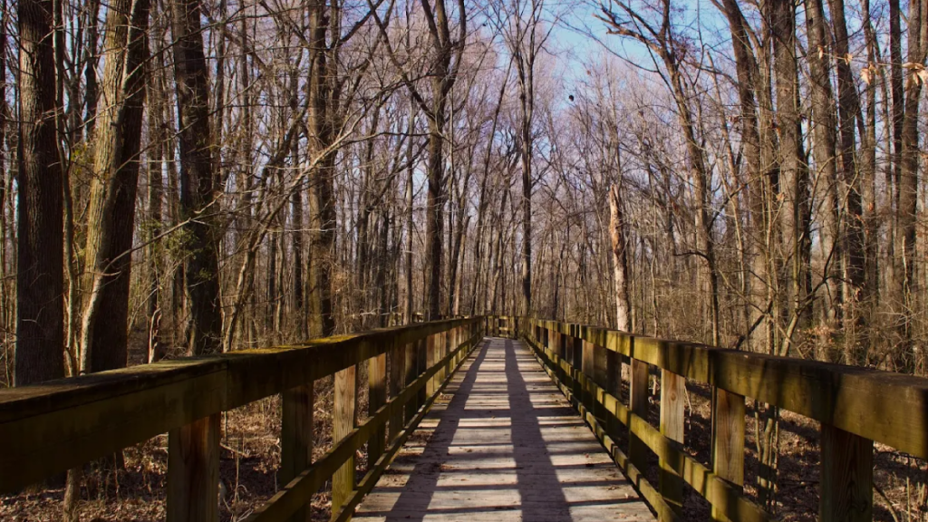 This Hidden Tennessee State Park Is So Peaceful, You May Have It Almost All To Yourself