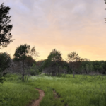 This Natural Area Lets You Hike Through One of Tennessee's Most Surprising Landscapes
