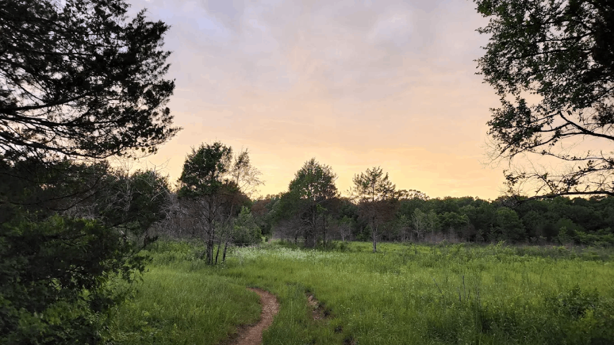 This Natural Area Lets You Hike Through One of Tennessee's Most Surprising Landscapes