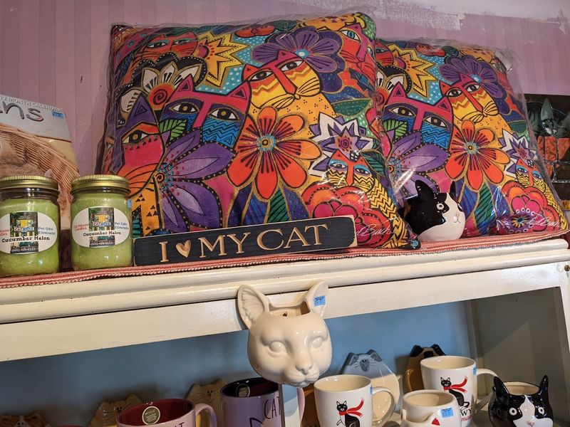 This Pigeon Forge Shop Is a Dream Stop for Cat Lovers This Pigeon Forge Shop Is a Dream Stop for Cat Lovers