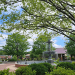 This Small Tennessee Town Might Be the Catfish Capital of the World