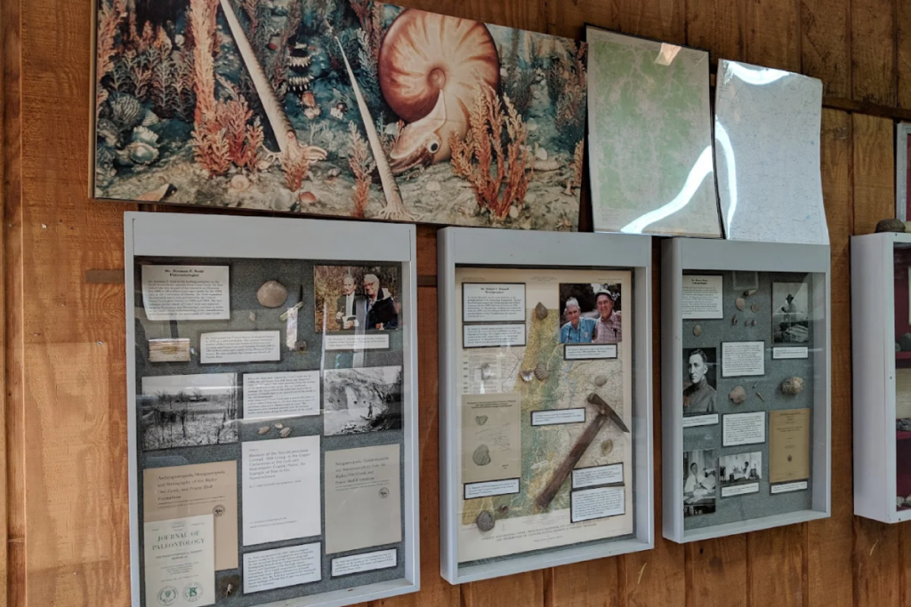 This Tennessee Fossil Site Holds Ancient Sea Creatures From When the State Was Underwater