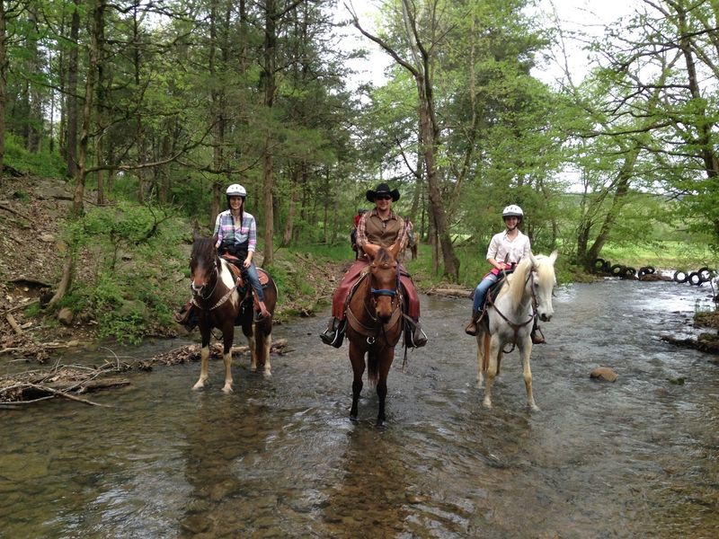 This Tennessee Ranch Brings The Cowboy Experience To The Mountains