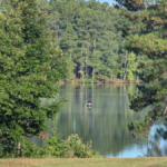 This Tennessee State Park Has Four Lakes and Somehow Still Feels Like a Hidden Gem