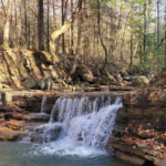 This Tennessee Trail Leads to a Waterfall That Feels Like a Hidden Forest Reward