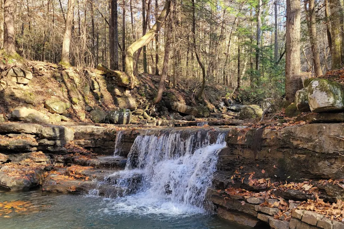 This Tennessee Trail Leads to a Waterfall That Feels Like a Hidden Forest Reward
