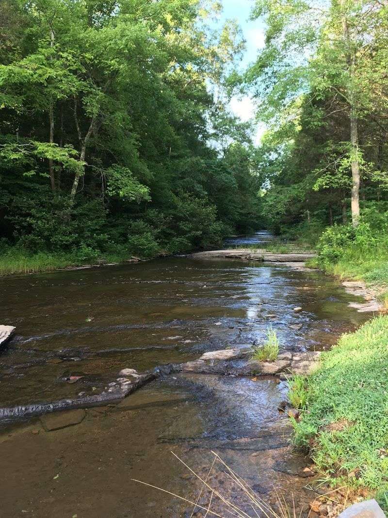 This Tiny Tennessee Town Is Hiding Something Wildly Unexpected This Tiny Tennessee Town Is Hiding Something Wildly Unexpected