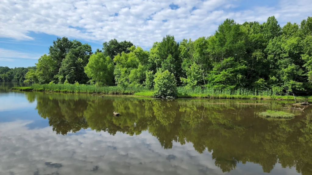 This Wild Tennessee Retreat Near Gallatin Is Perfect for Paddling, Camping, and Birdwatching