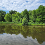 This Wild Tennessee Retreat Near Gallatin Is Perfect for Paddling, Camping, and Birdwatching
