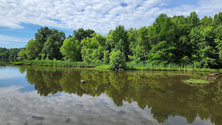 This Wild Tennessee Retreat Near Gallatin Is Perfect for Paddling, Camping, and Birdwatching