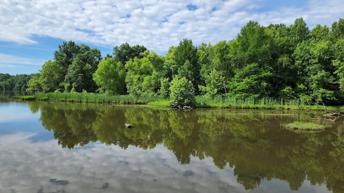 This Wild Tennessee Retreat Near Gallatin Is Perfect for Paddling, Camping, and Birdwatching