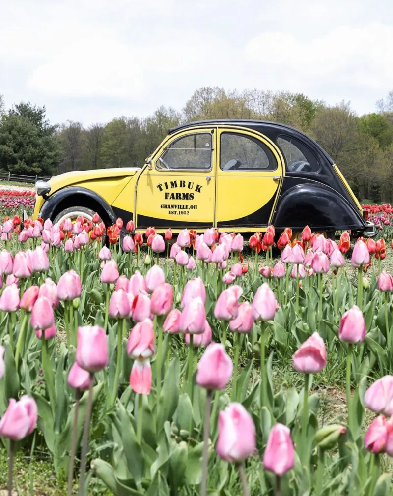 Timbuk Farms, Granville, Ohio