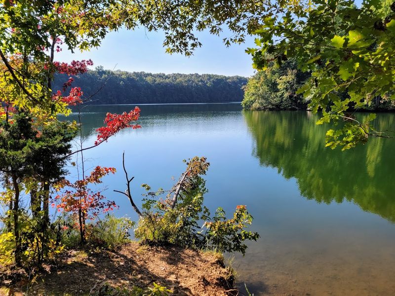 Tims Ford State Park