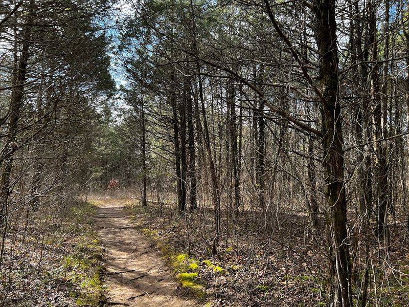 Tips for Visiting Flat Rock Cedar Glades and Barrens State Natural Area Tips for Visiting Flat Rock Cedar Glades and Barrens State Natural Area