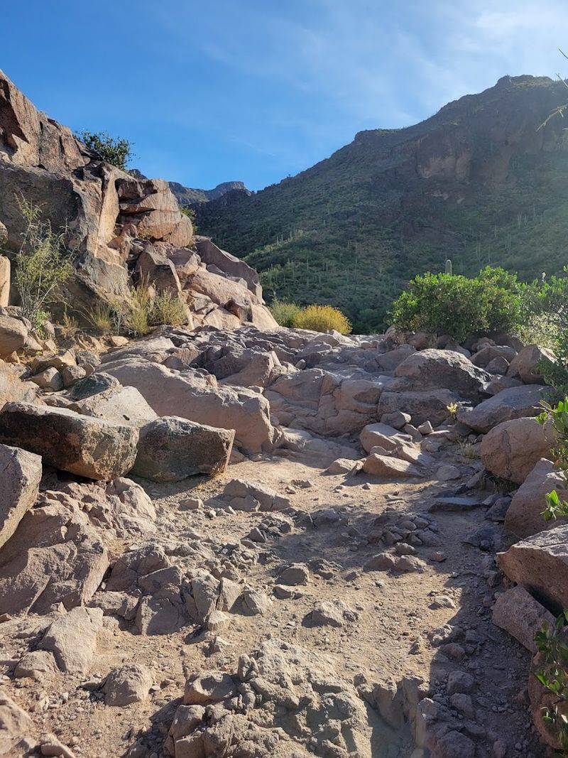 Trail Distance, Difficulty, and What to Expect Trail Distance, Difficulty, and What to Expect