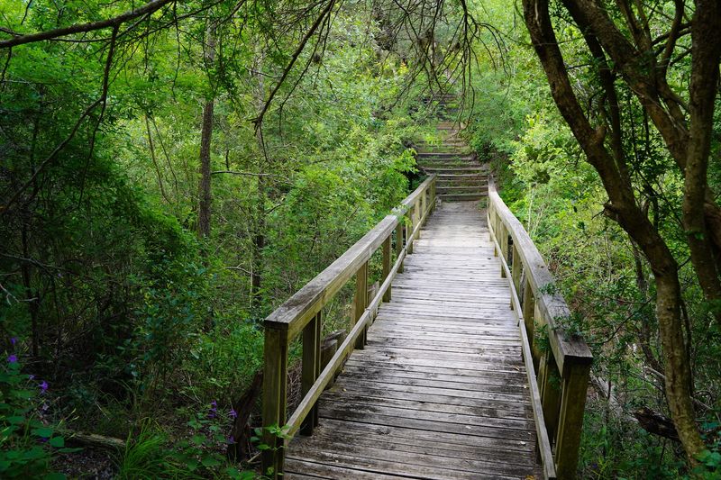 Trail System Connecting Past and Present