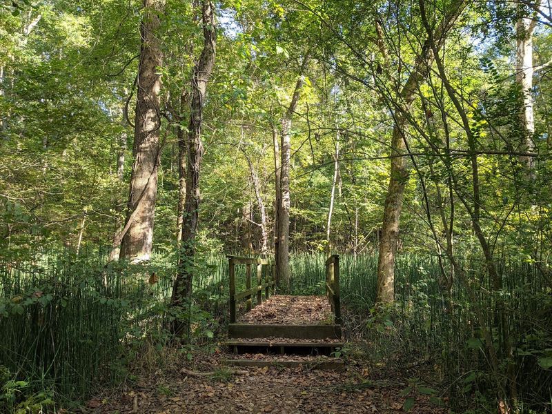 Trails, Forests, And Quiet Corners That Feel Far From The City