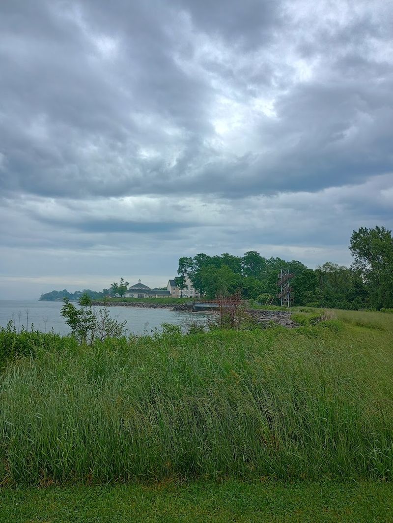 Trails, Marina, And Nearby Treats