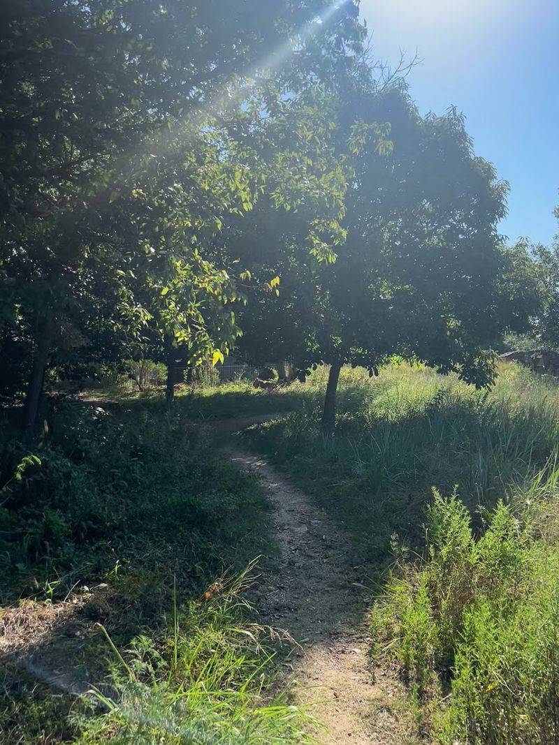 Trails That Feel Wild Without Being Wilderness