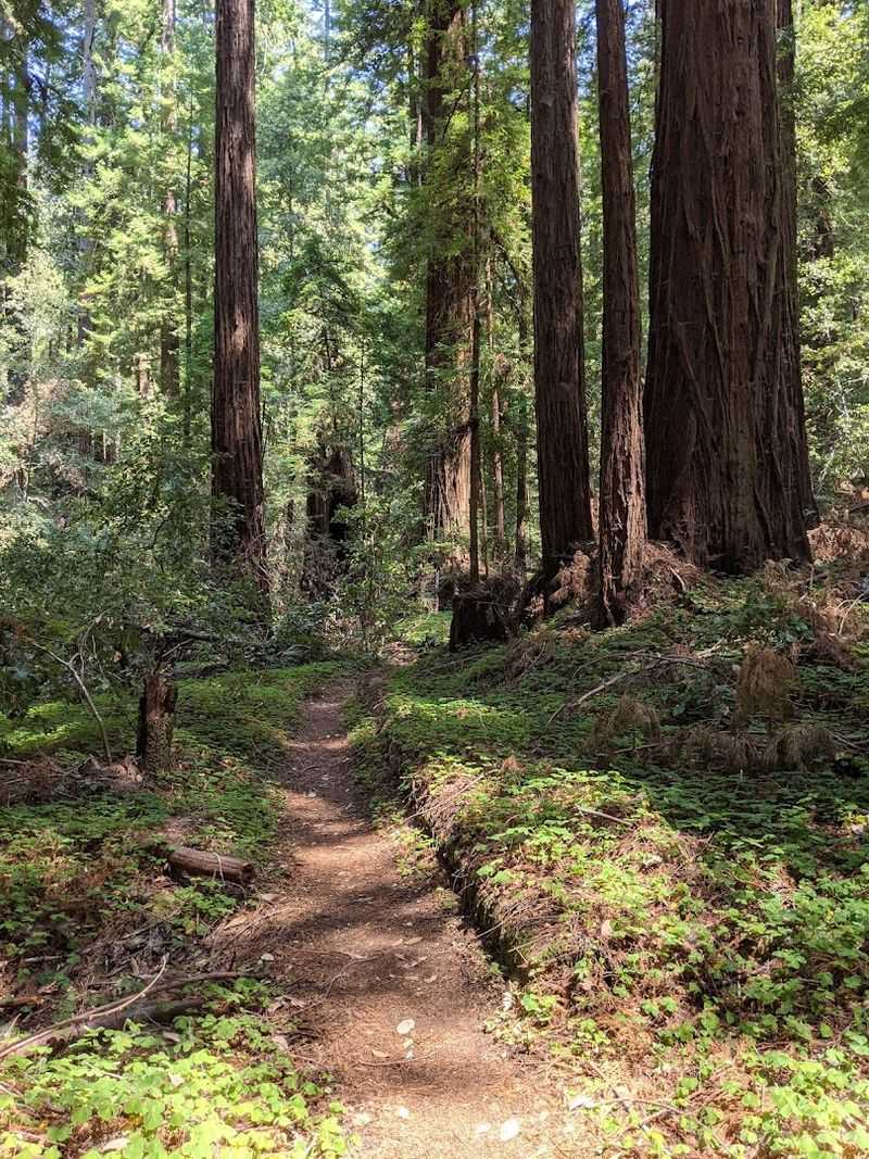 Trails for both quick walks and longer hikes