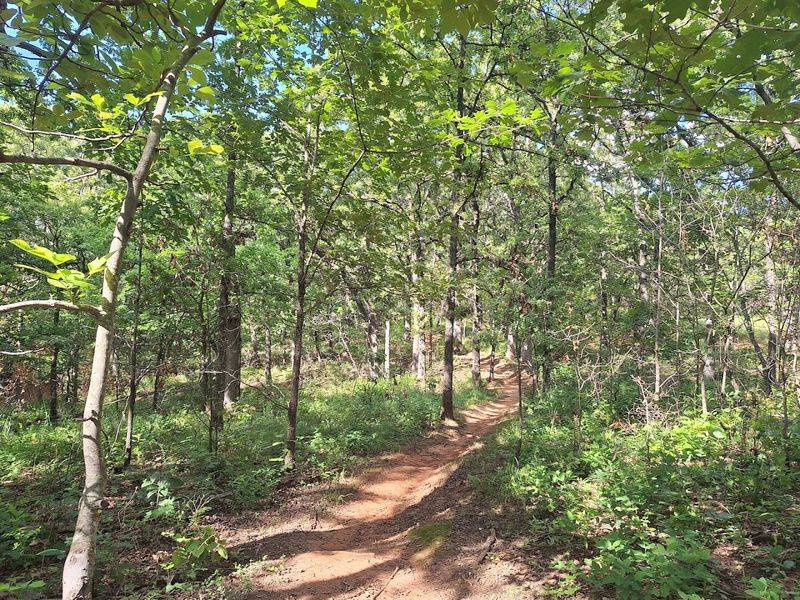 Trails that make a simple walk feel restorative Trails that make a simple walk feel restorative