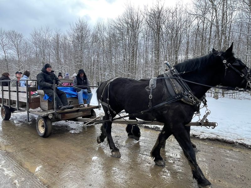 Triple Creek Maple Products (Cranesville, PA)