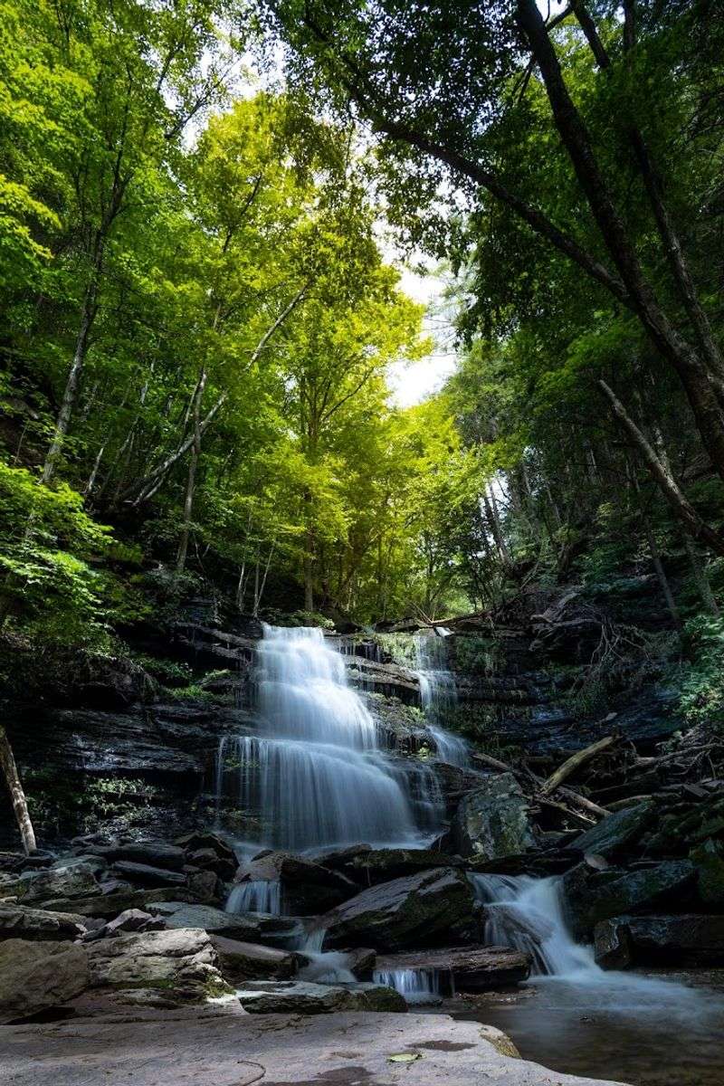 Turkey Path Trail
