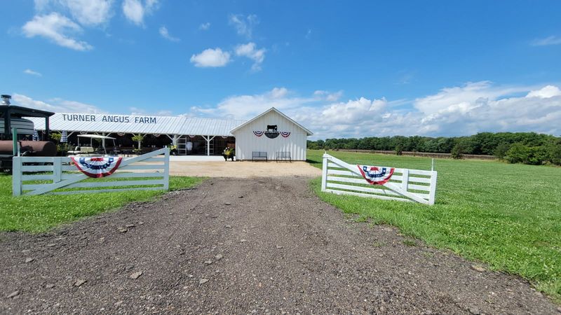 Turner Angus Pizza Farm — Covington