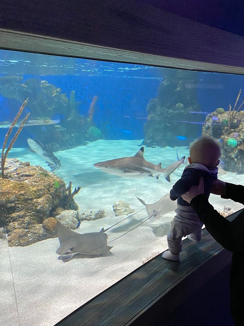 Up close encounters that make the visit memorable