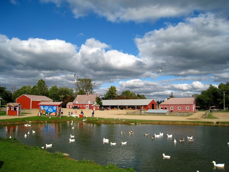 Upland Hills Farm — Oxford