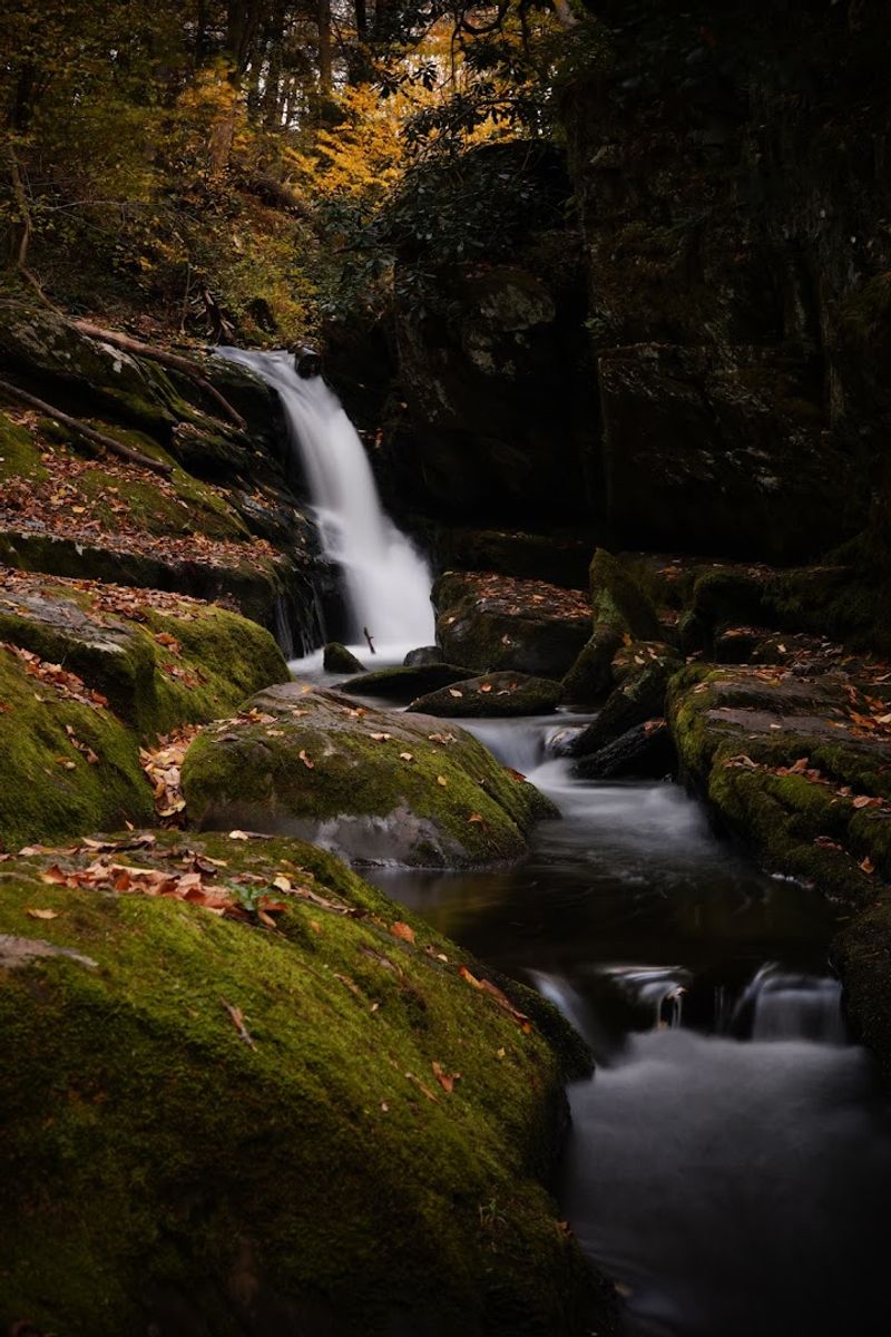 Upper Van Campens Falls