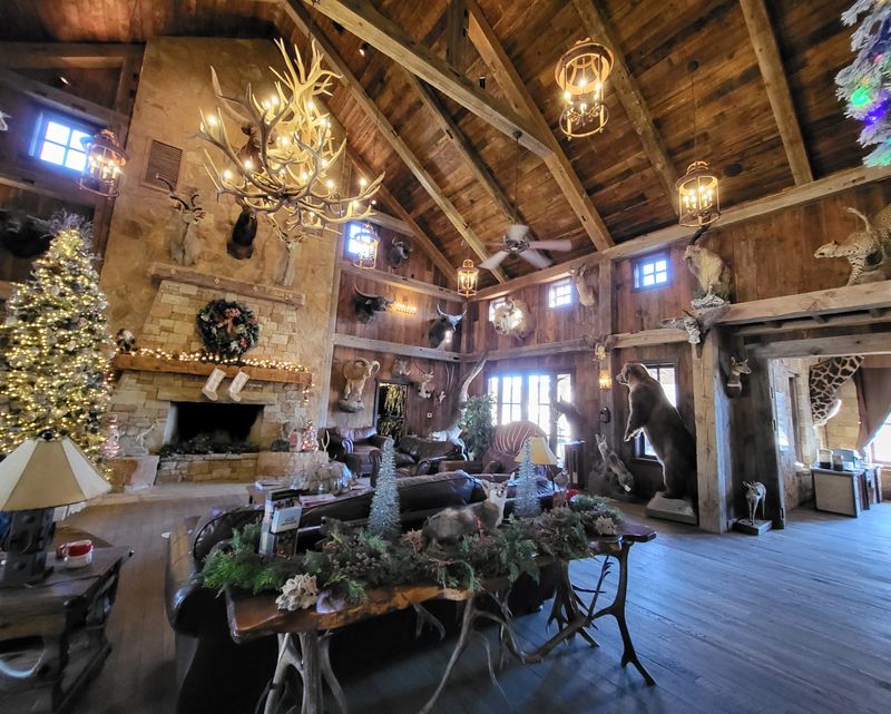 VIP Lodge Stay And Safari