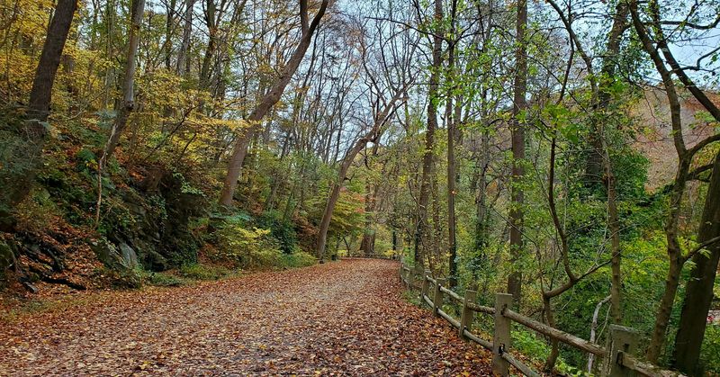 Valley Green Gives the Park a Classic Philadelphia Charm