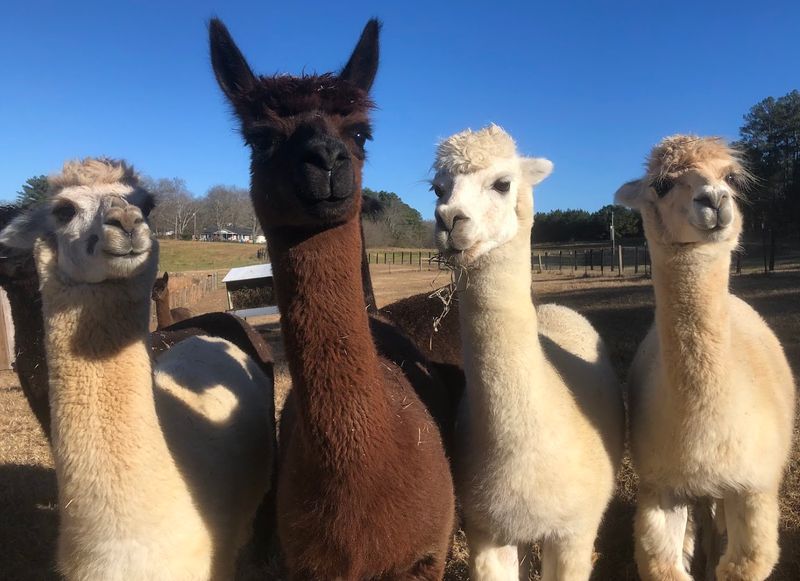 Valley View Farm & Garden — Manchester