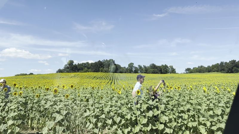Visitors can explore the fields for free Visitors can explore the fields for free