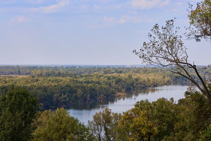 Where the Bluff Steals the Show