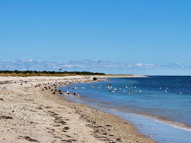 Orient Beach State Park (Orient) Orient Beach State Park (Orient)