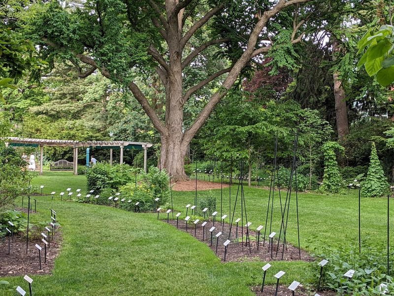W.J. Beal Botanical Garden — East Lansing