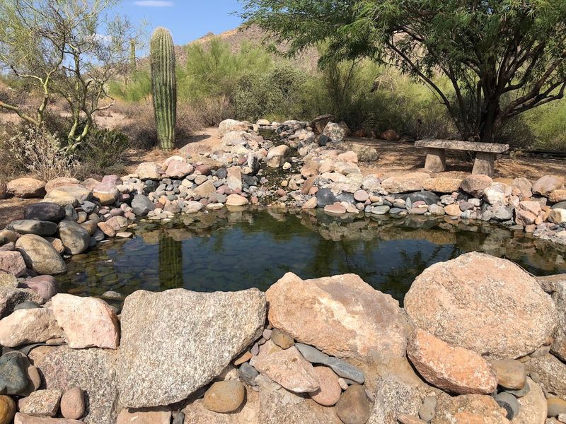 Wind Cave Trail (Usery Mountain Regional Park)
